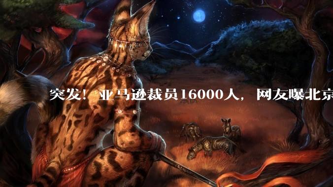 突发！亚马逊裁员16000人，网友曝北京裁员50%，整组被“一锅端”_Galetti_职位_约合